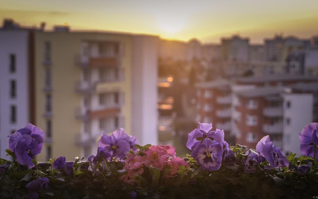 A Nice Place To Stay Apartments Praha Rom bilde